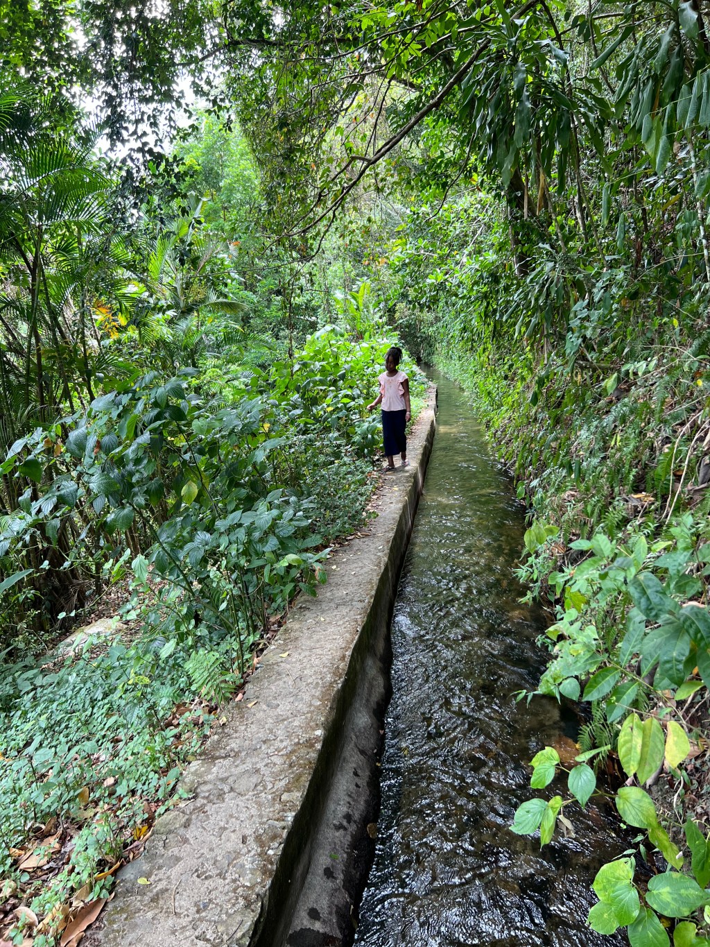 Attendre que l’enfant soit prêt : la clé pour introduire un concept&nbsp;financier